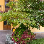La Corleta Di Sot By Interhome Apartamento Ovaro