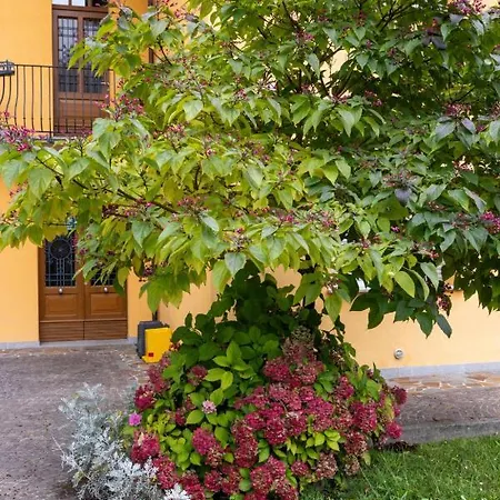 La Corleta-1 By Interhome Apartment Ovaro
