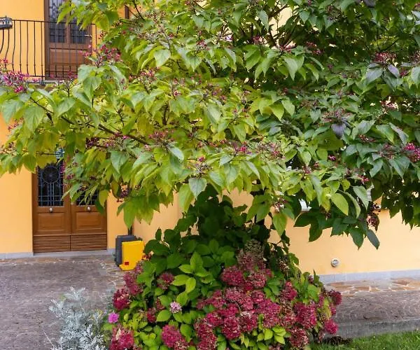 La Corleta Di Sot By Interhome Apartman Ovaro